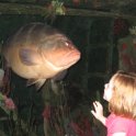 Big Fish